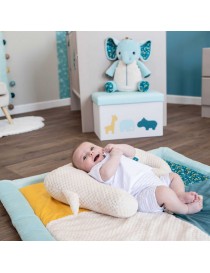 COUSSIN ACTIVITE CALE TETE...